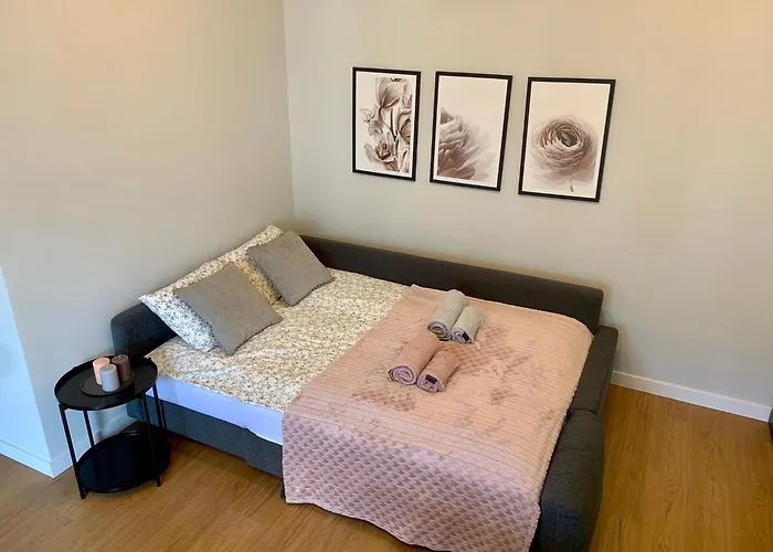 Appartamento Nowoczesny Dabska Arena / Parking *